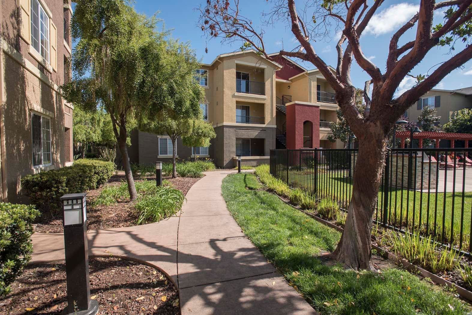 Walkway leading through landscaped area of apartment community.