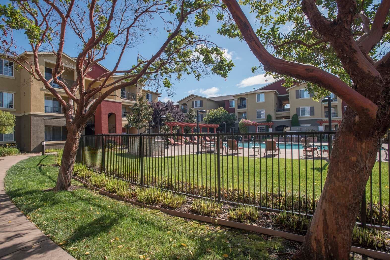 View of a community pool area surrounded by green grass and trees