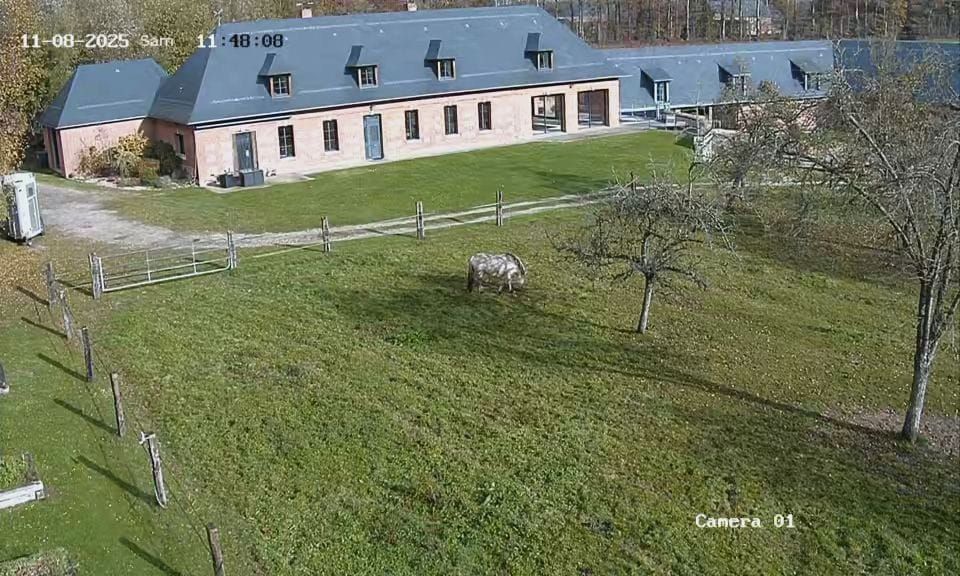 Terrain de pétanque aménagé à côté d'un abri Cyril Vauchel Maçonnerie