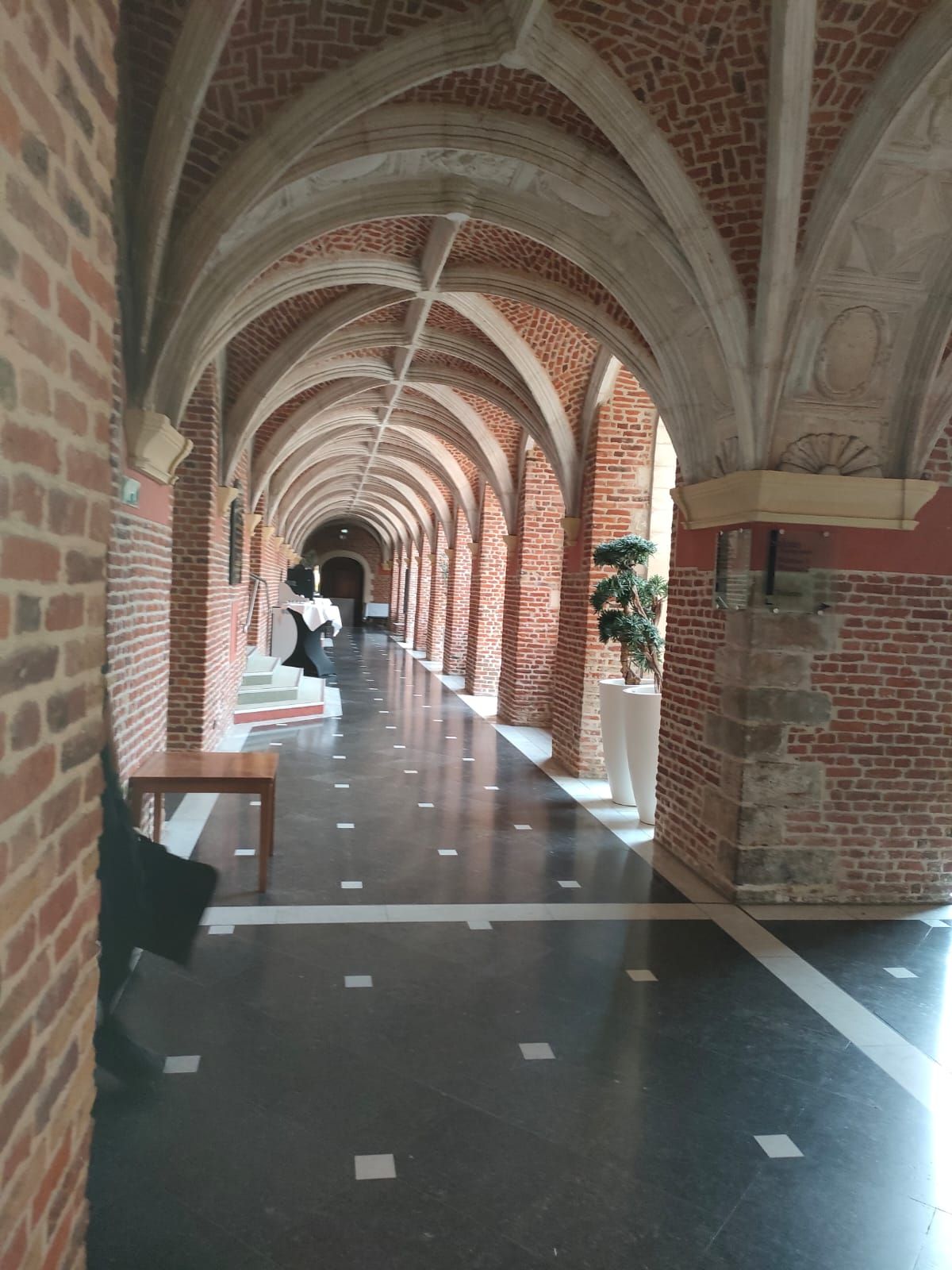 Couloir voûté en briques avec un sol noir brillant.