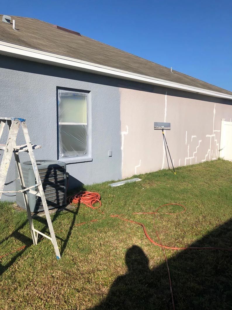 A house is being painted in a backyard with a ladder.