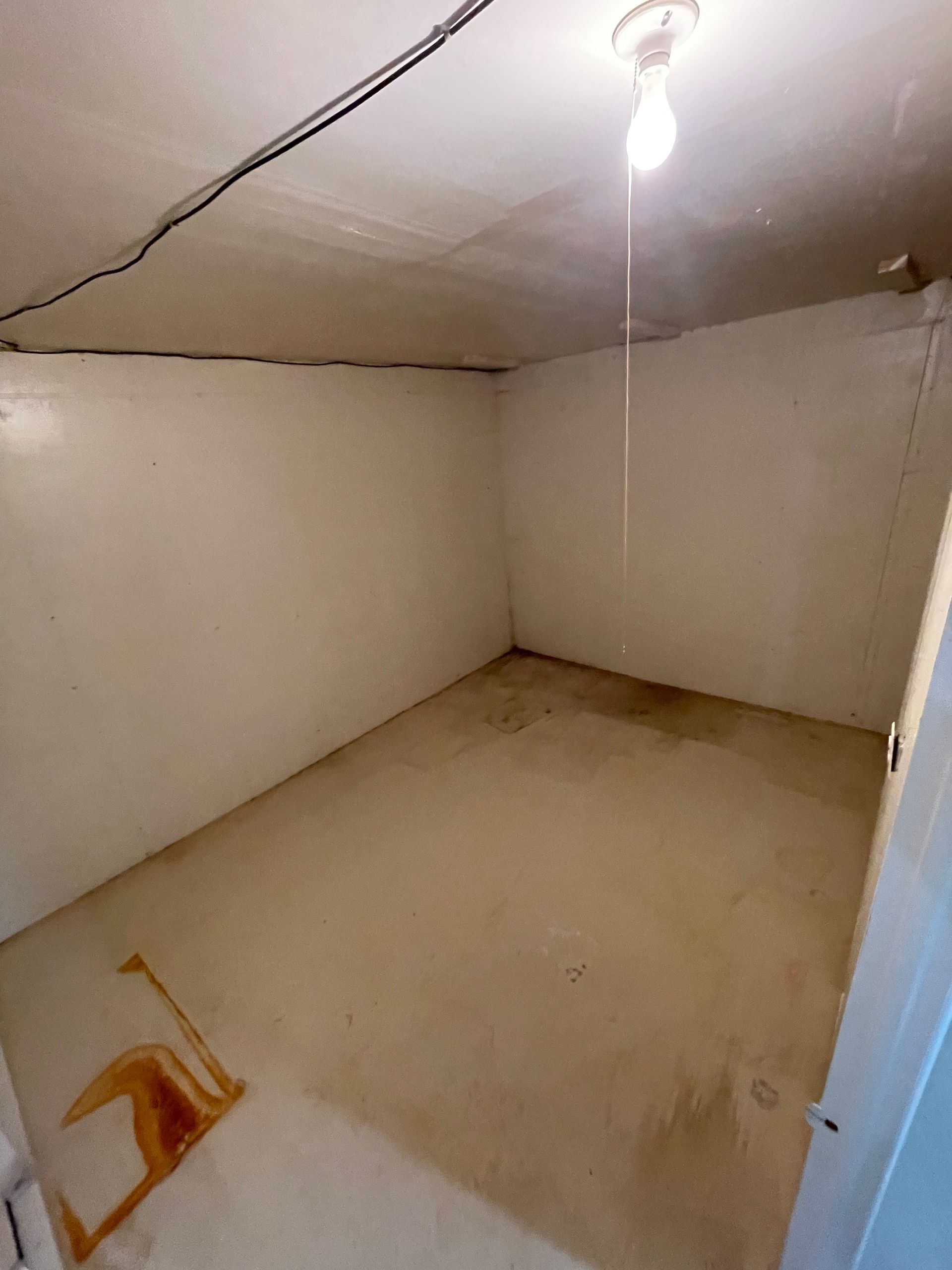 basement cleanout company in grand rapids