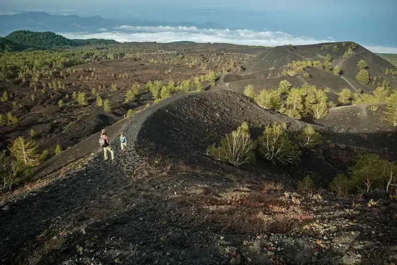 Volcanic landscape on Mount Etna with dark lava terrain and sparse vegetation