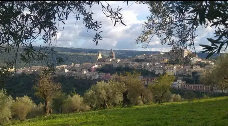Scenic Sicilian landscape with olive trees and a hilltop town in the distance
