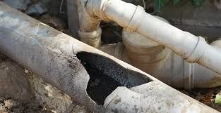 Common Causes of Sewer Line Damage and How to Avoid Them