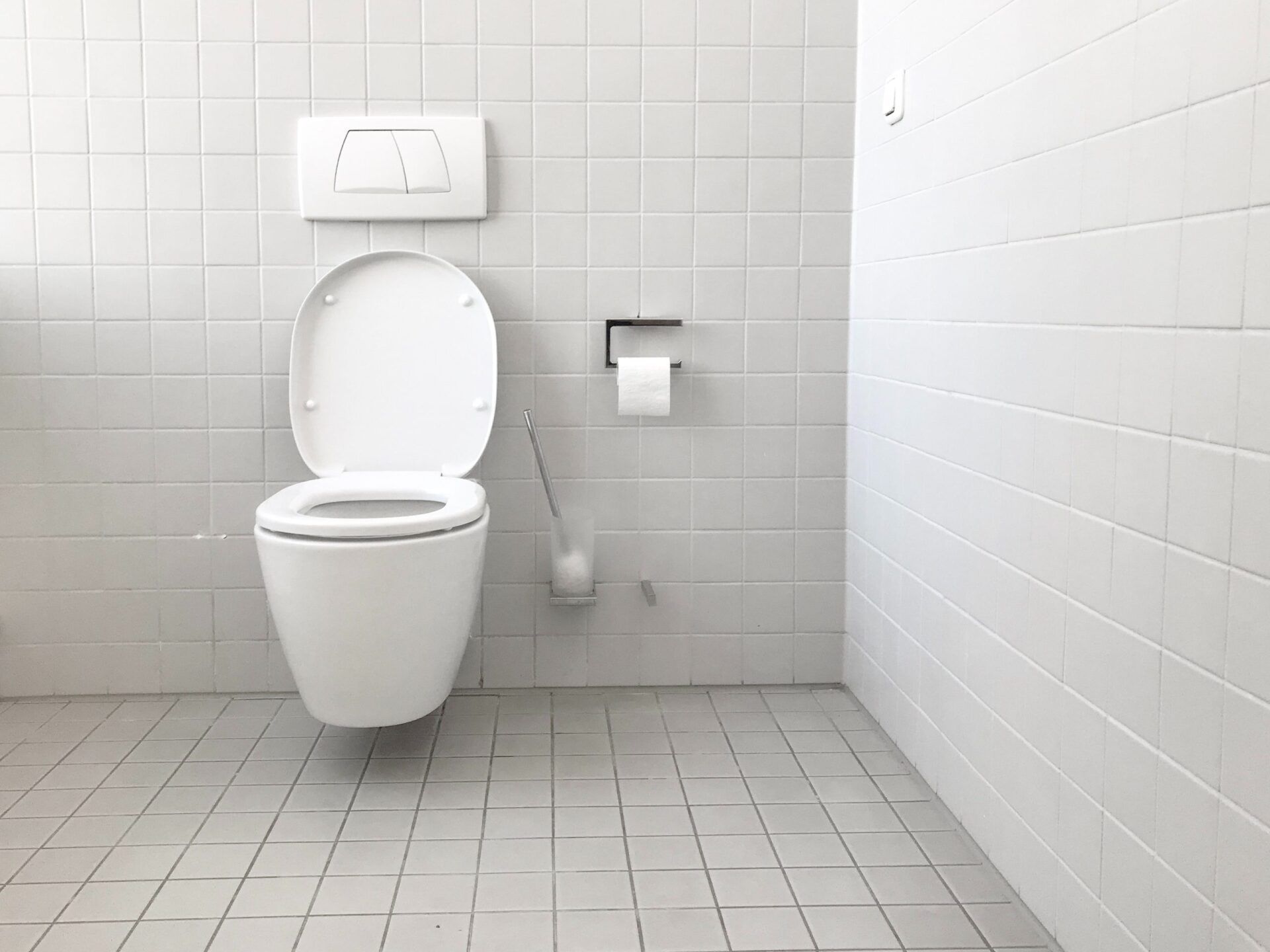 5 Reasons Your Toilet Smells Like Sewage When Flushing It