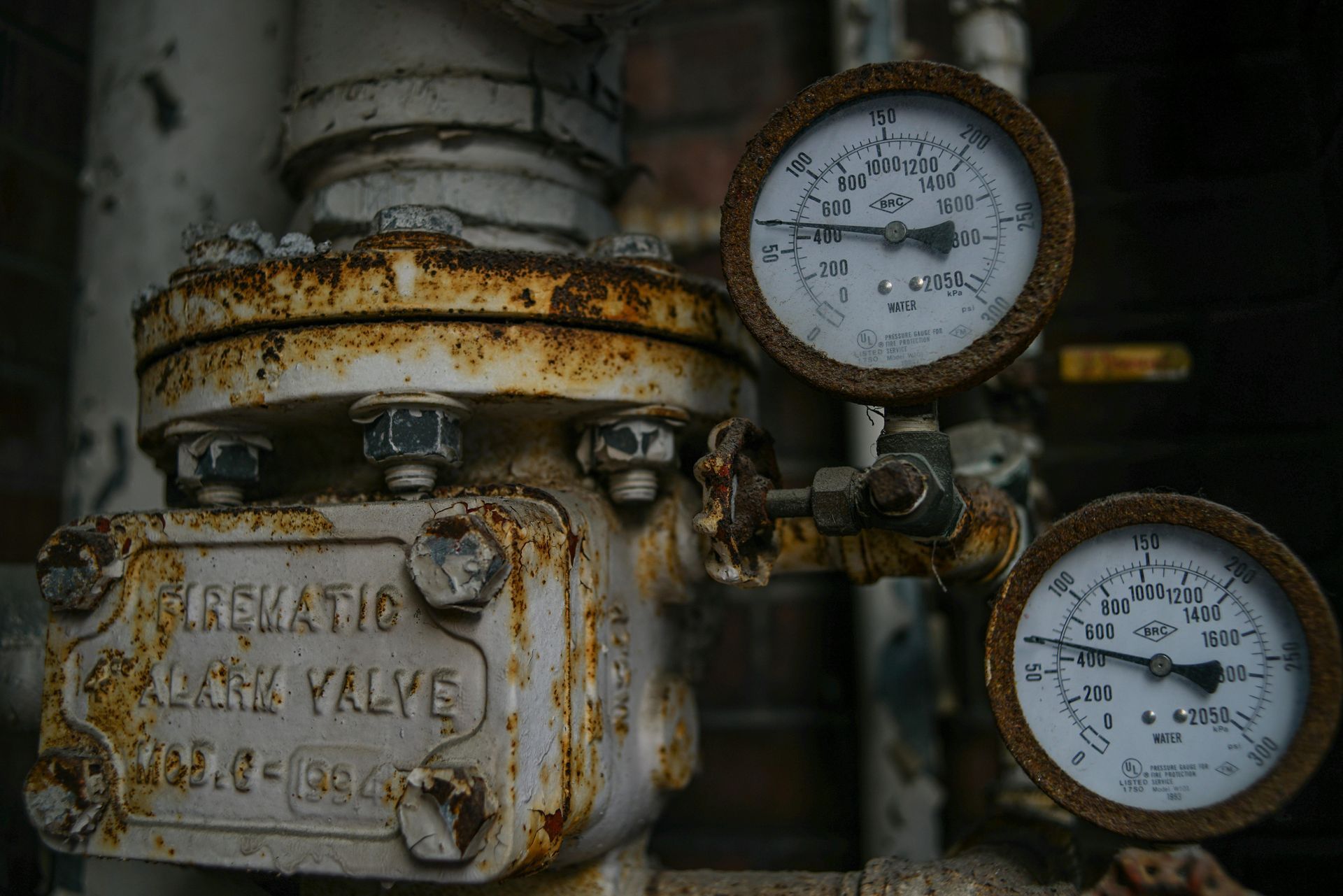 Emergency Sewer Line Repairs Before Major Damage