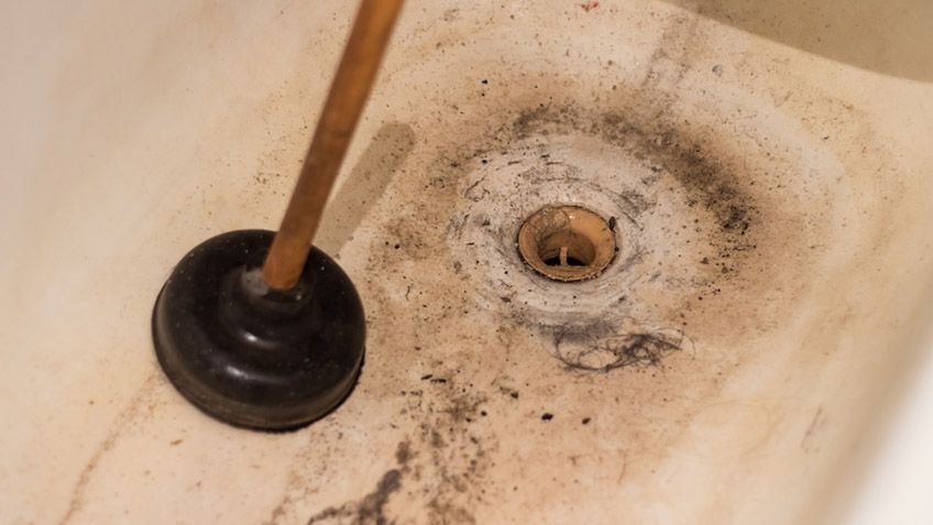 Essential Steps to Take If You Have a Sewer Backup