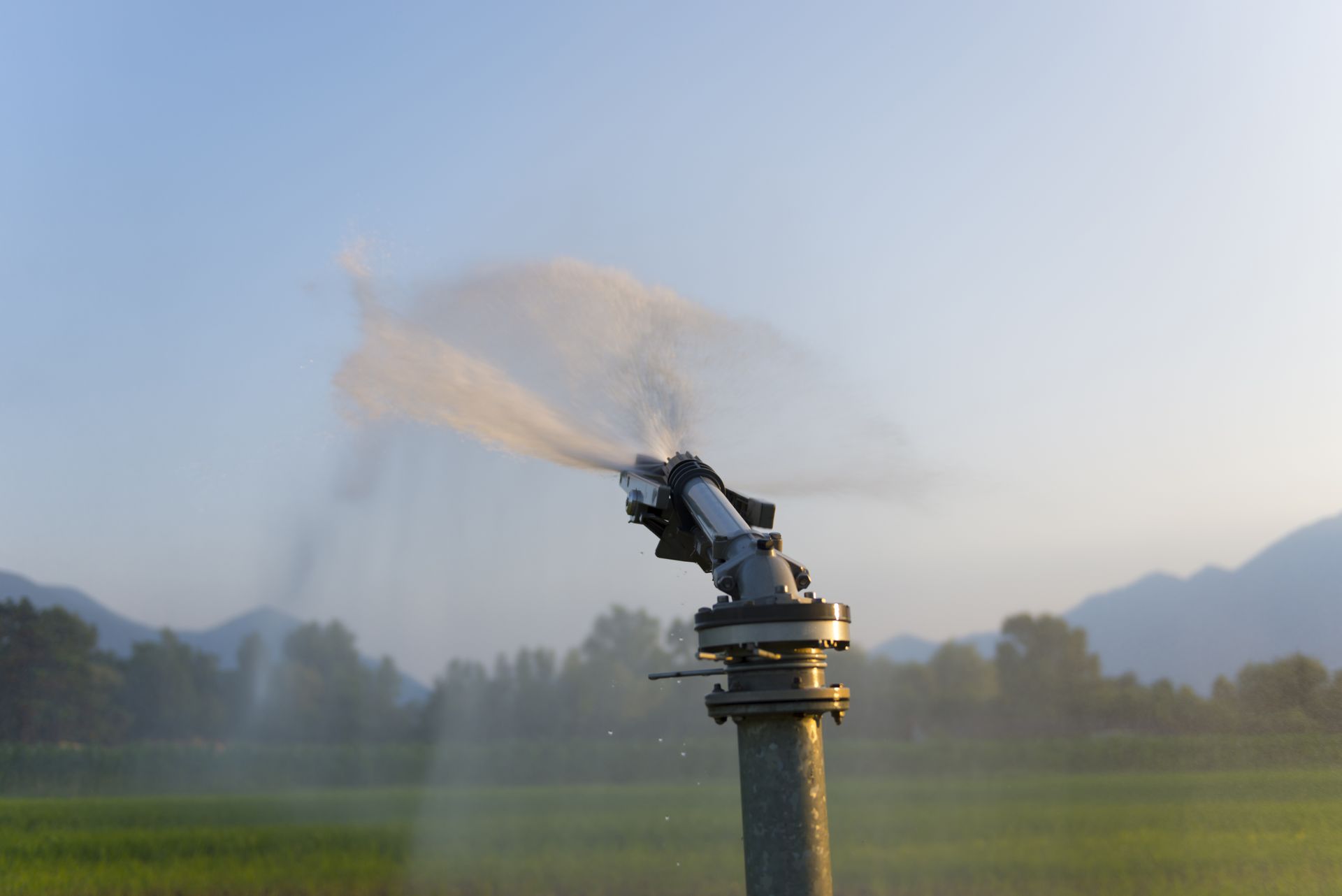 How to Maintain Your Lawn Sprinkler System?