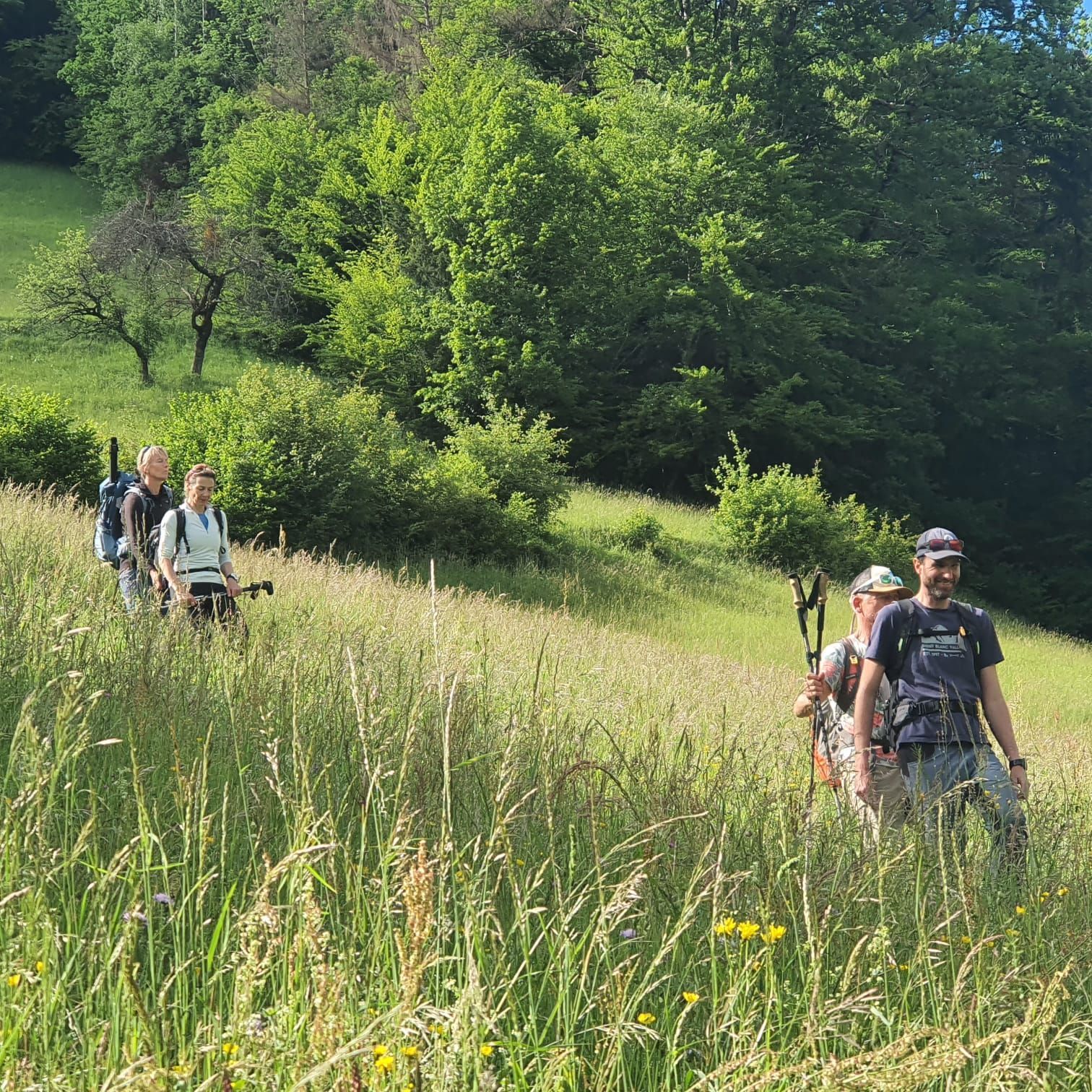 Formation IPSAN-Marcher Autrement