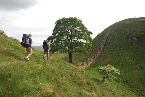 Gózate la naturaleza con nuestras salidas pedagógicas