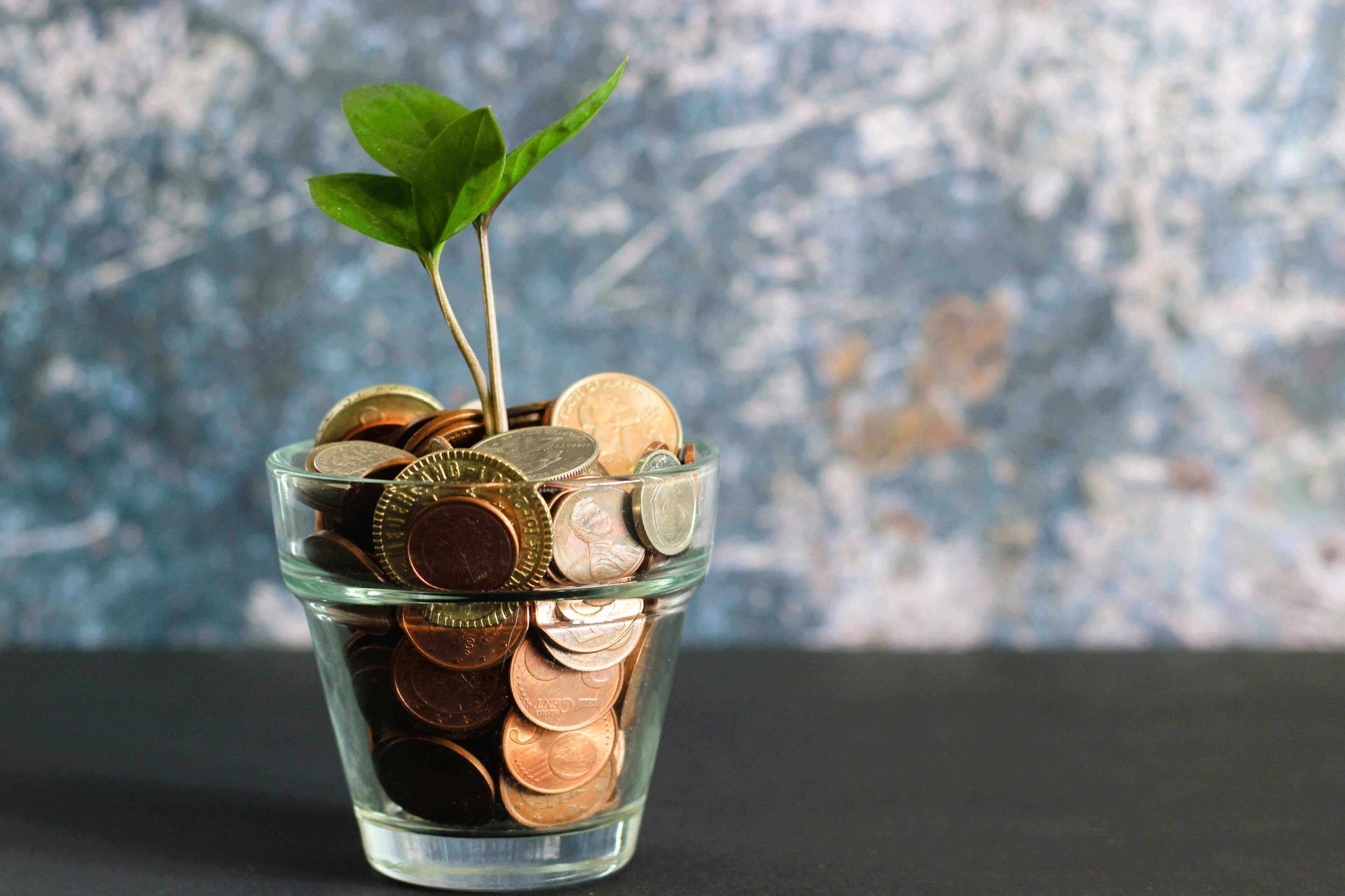 a glass vase filled with coins and a plant