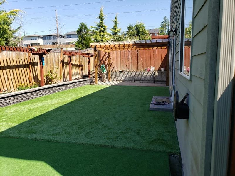 A backyard with a lot of grass and a fence.