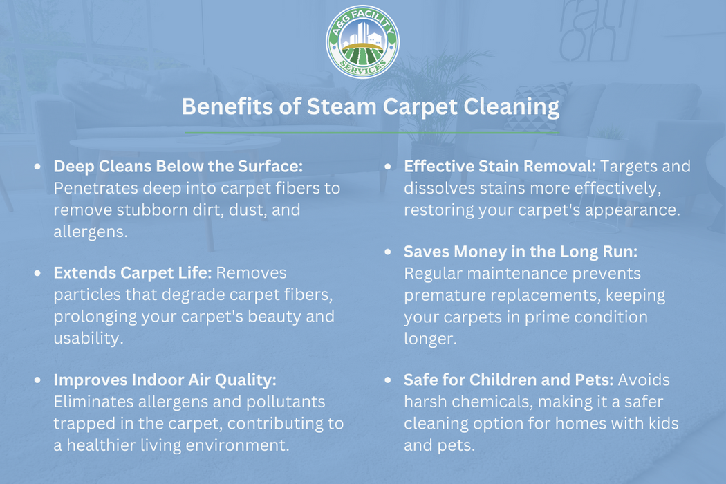 A poster showing the benefits of steam carpet cleaning