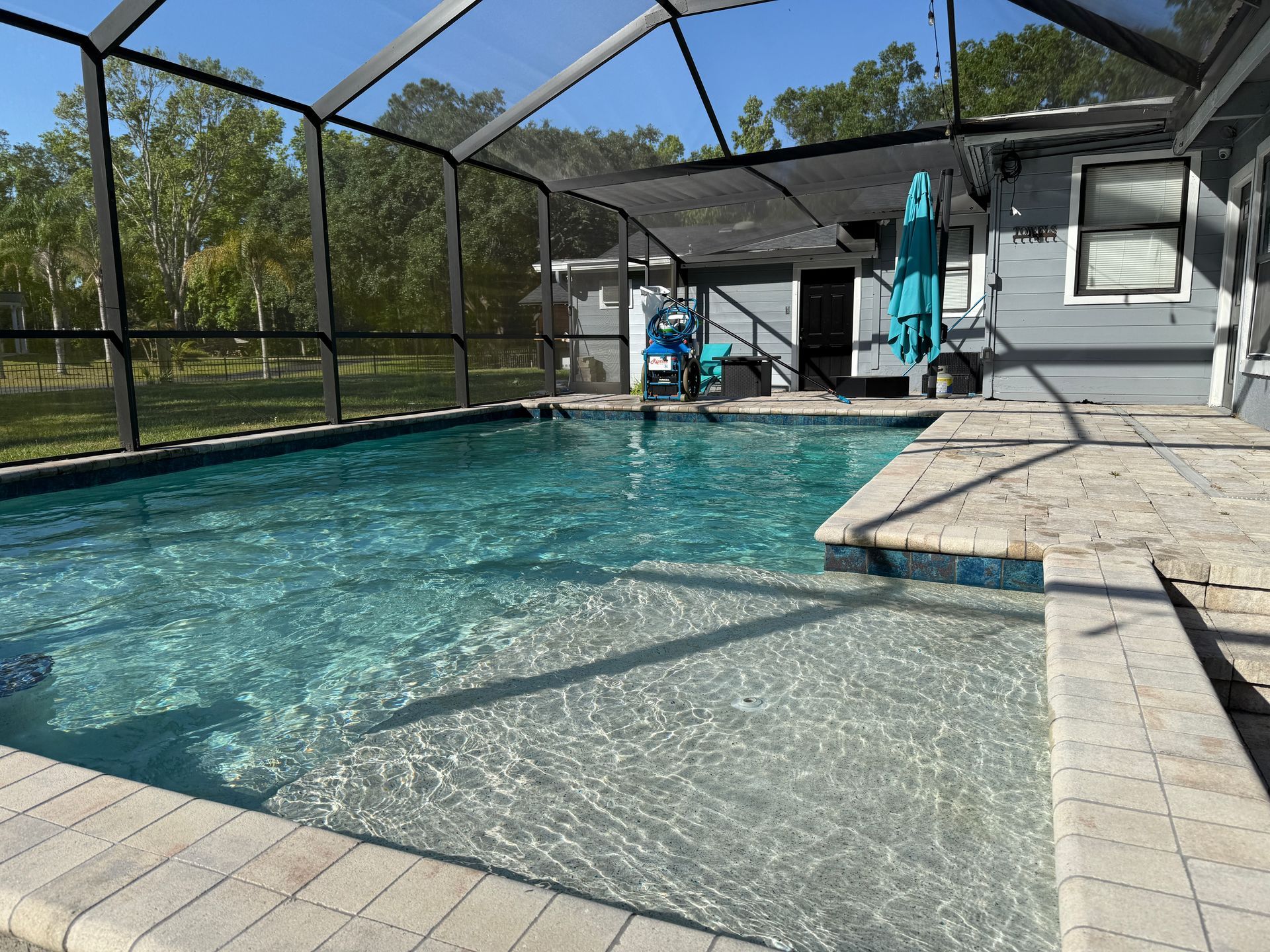Pool with clear water, surrounded by a screened enclosure and patio. Sunlight reflects off the water.