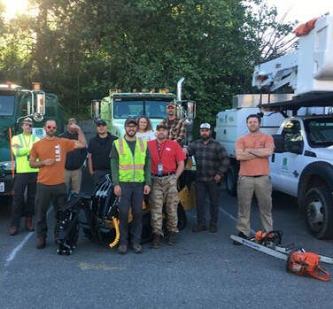 our team of tree service experts in flagstaff