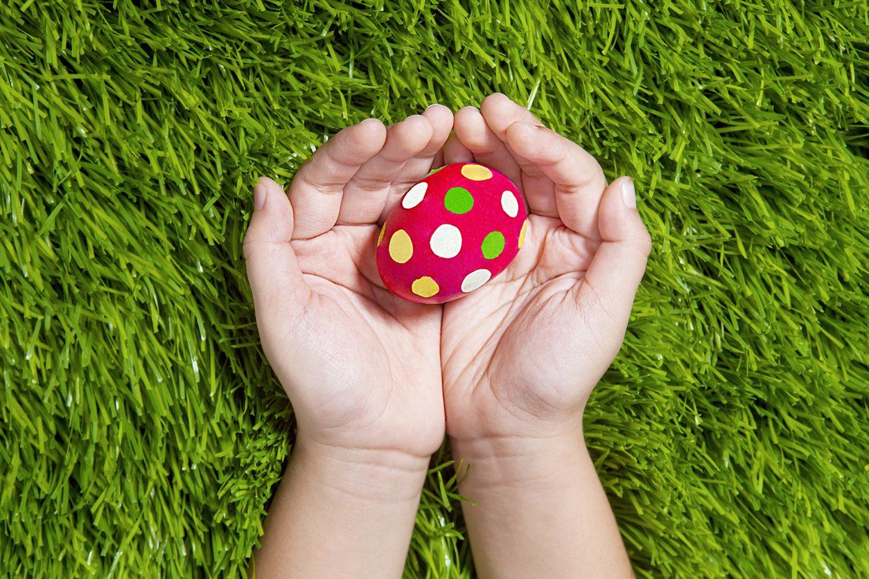 Hands Holding an Easter Egg | Giving Back