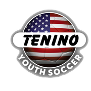 Logo for league