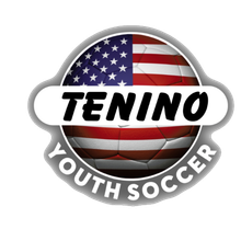 Tenino Youth Soccer Club Logo