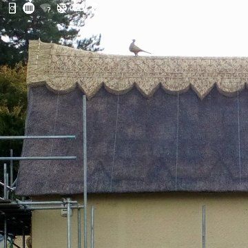 Thatched roof repairs