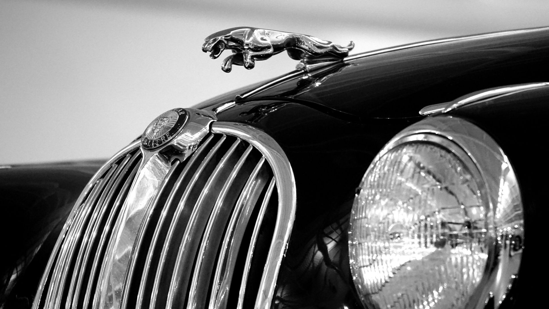 A black and white photo of a jaguar car with a jaguar mascot on the hood.