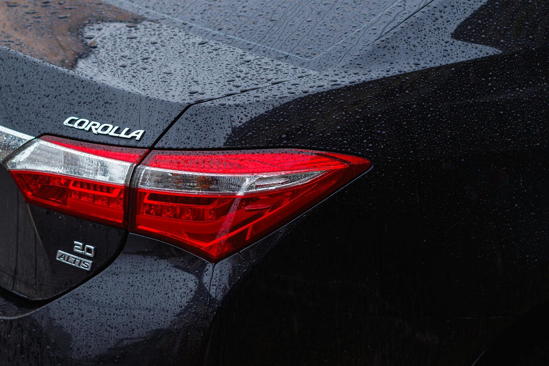 The back of a black corolla is covered in rain drops.