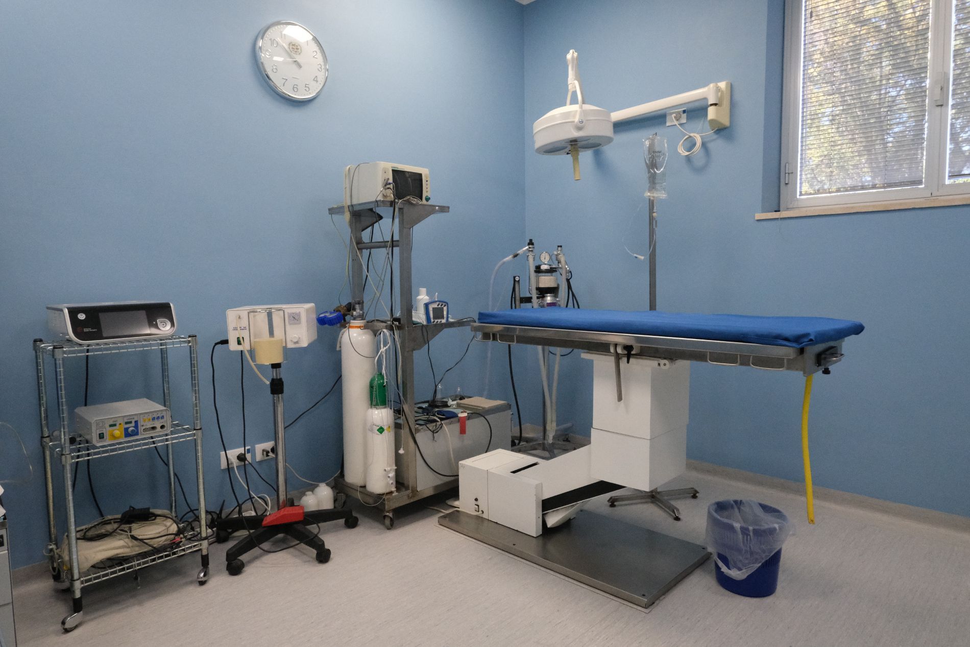 Sala per chirurgia veterinaria