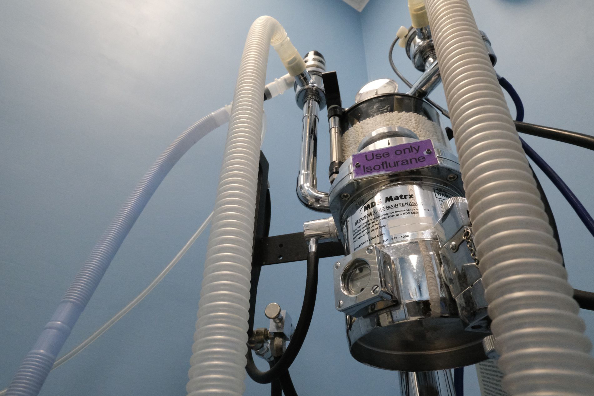 Uno strumento per anestesia veterinaria