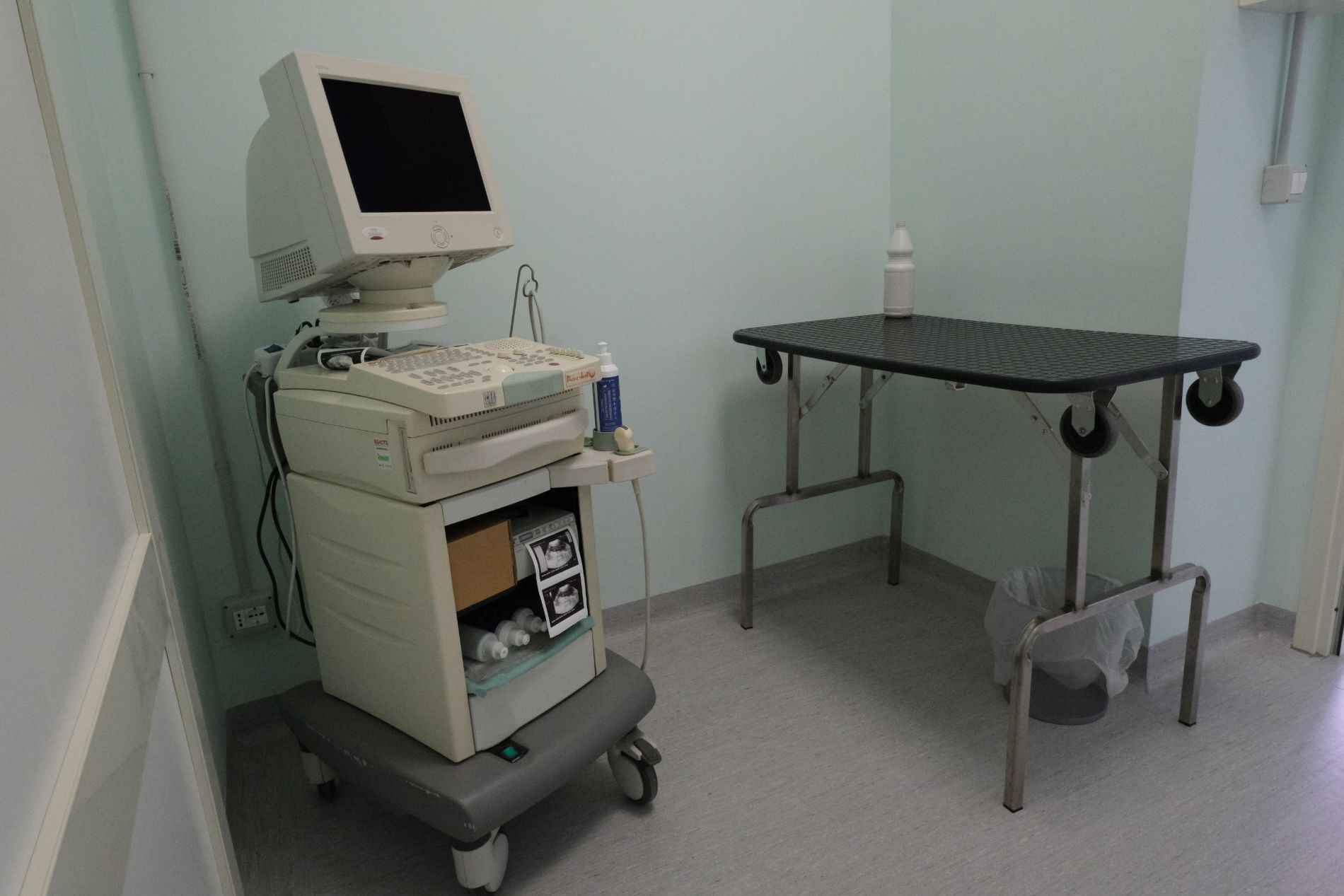 Un ecografo veterinario