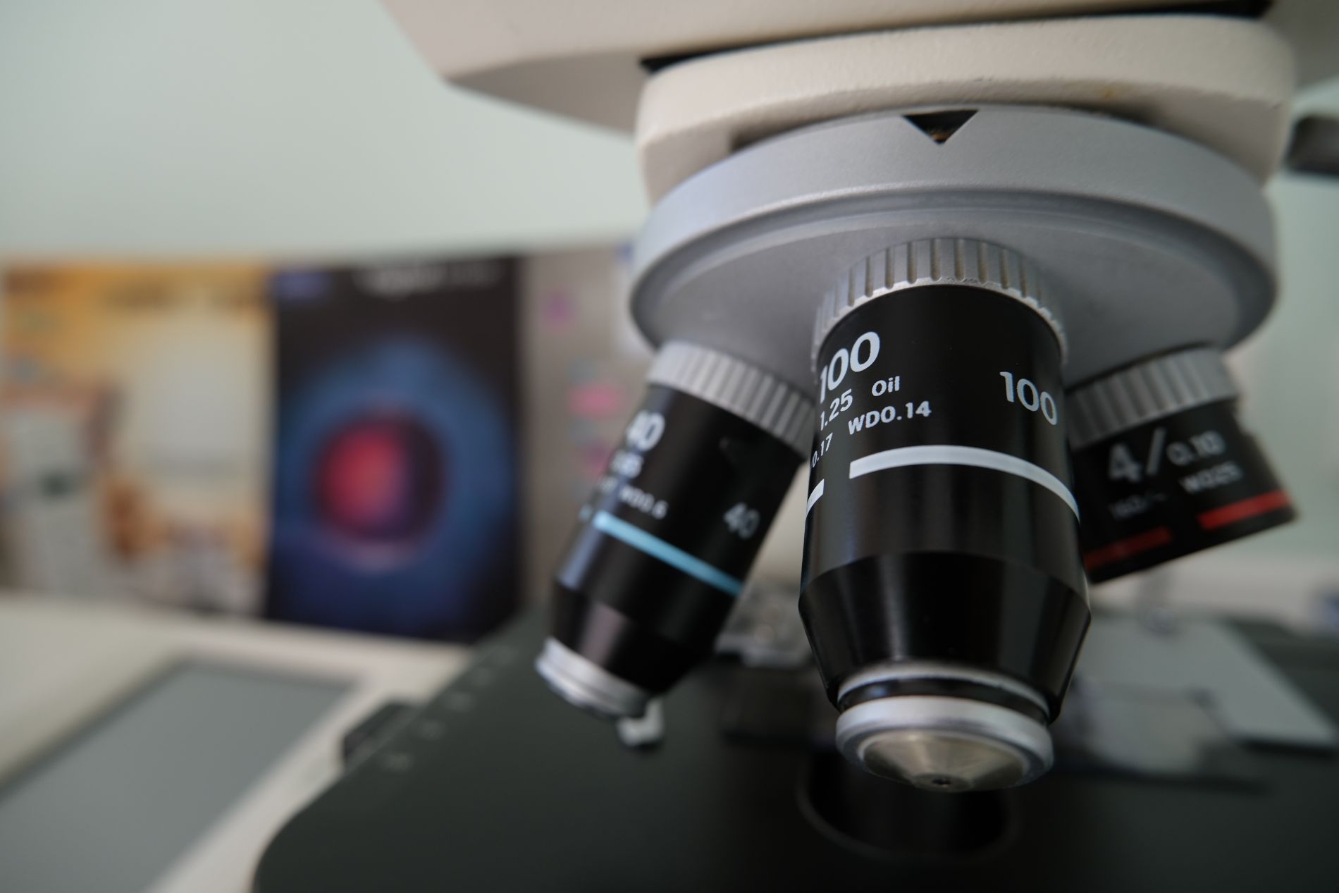 Un microscopio per analisi veterinarie