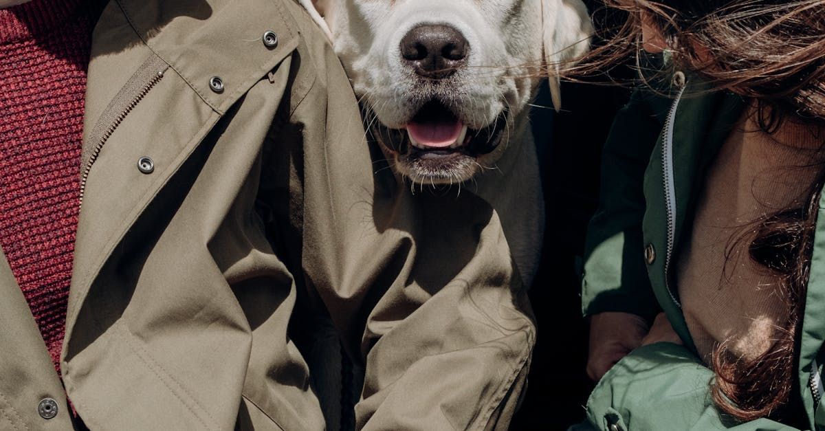 Smiling dog peeking through coats of two people; brown fur, happy expression.