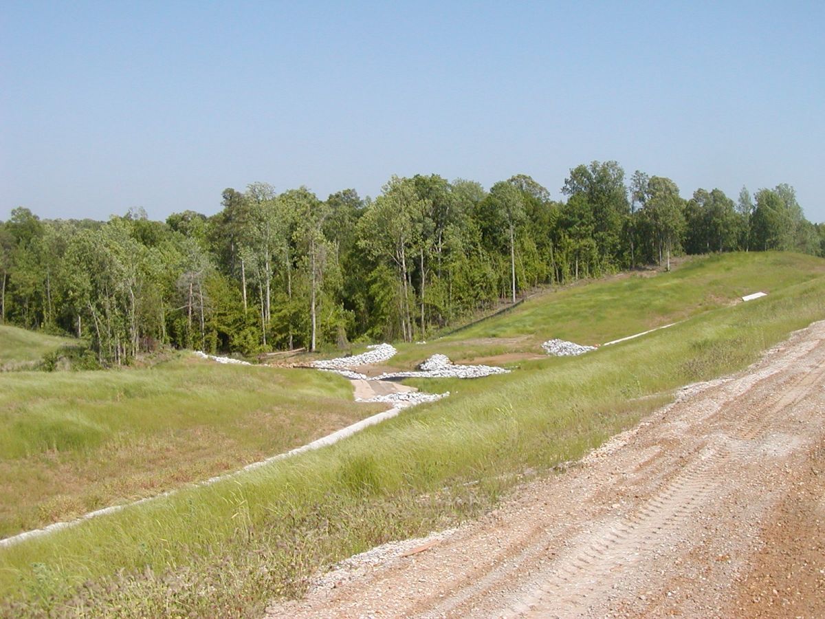 A dirt road going through a grassy field with trees in the background