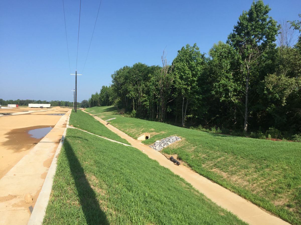 A path going through a grassy field with trees in the background
