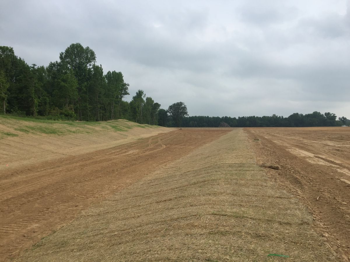 A dirt road going through a field with trees in the background.