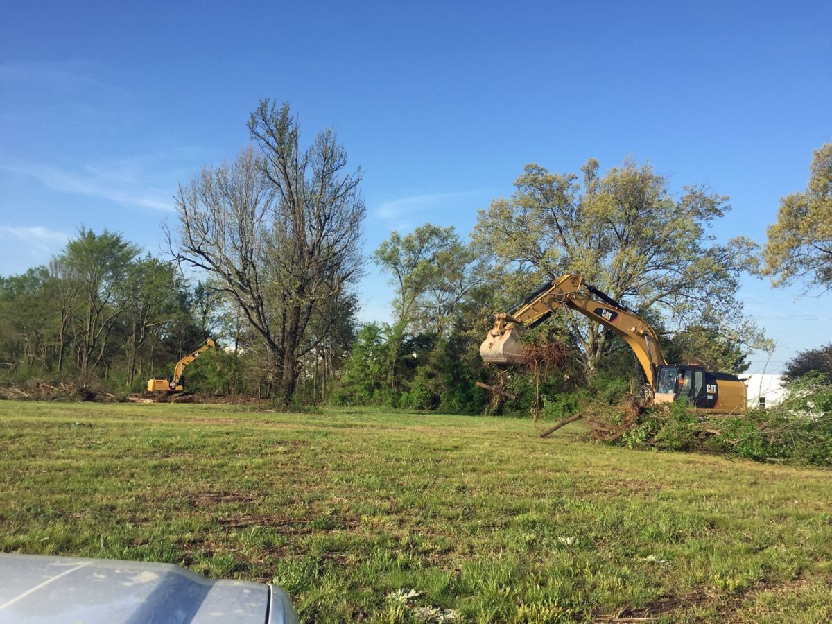 A bulldozer is cutting down trees in a field.