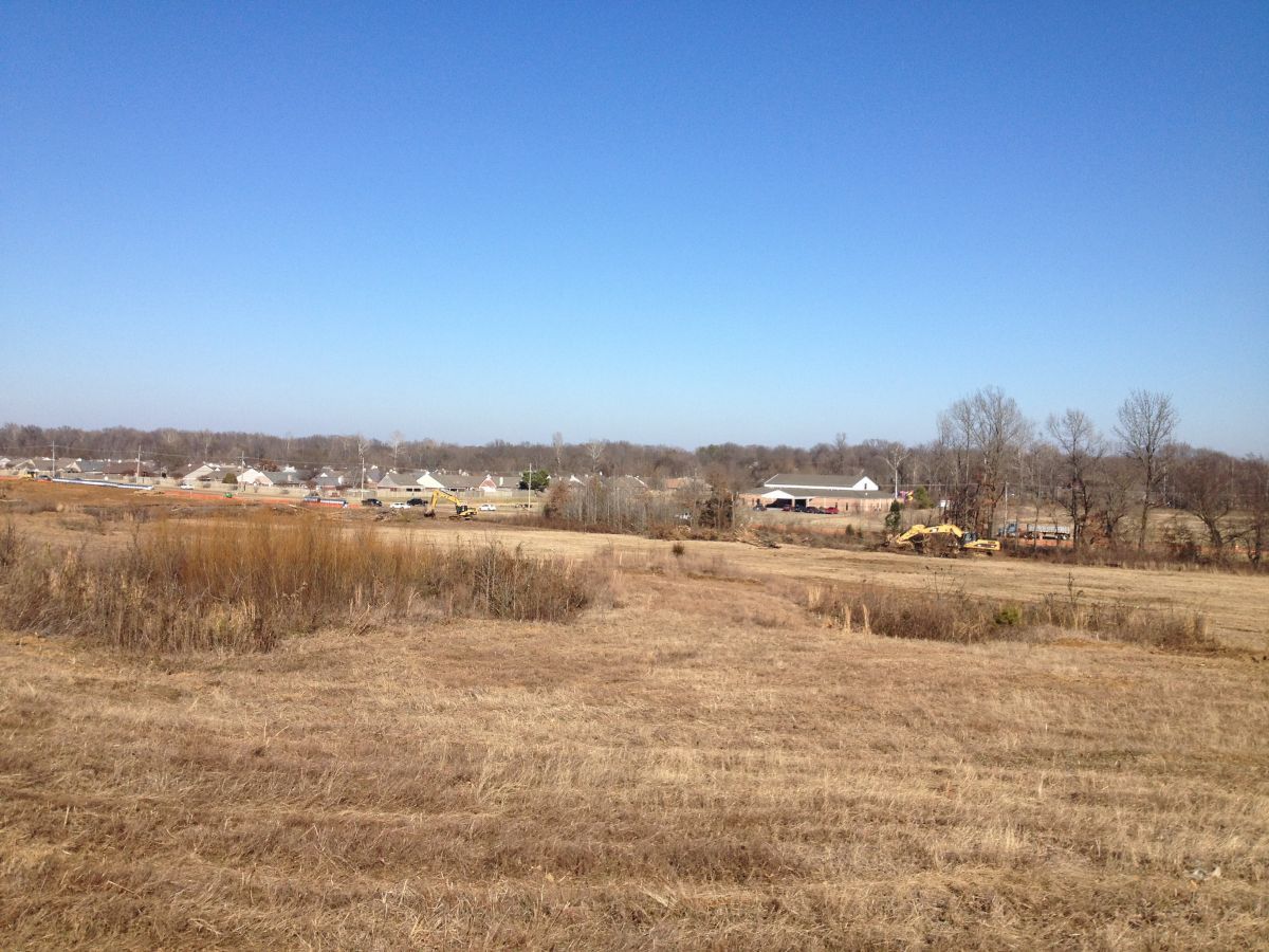 A field of dry grass with a blue sky in the background.