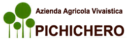 logo vivaio pichichero