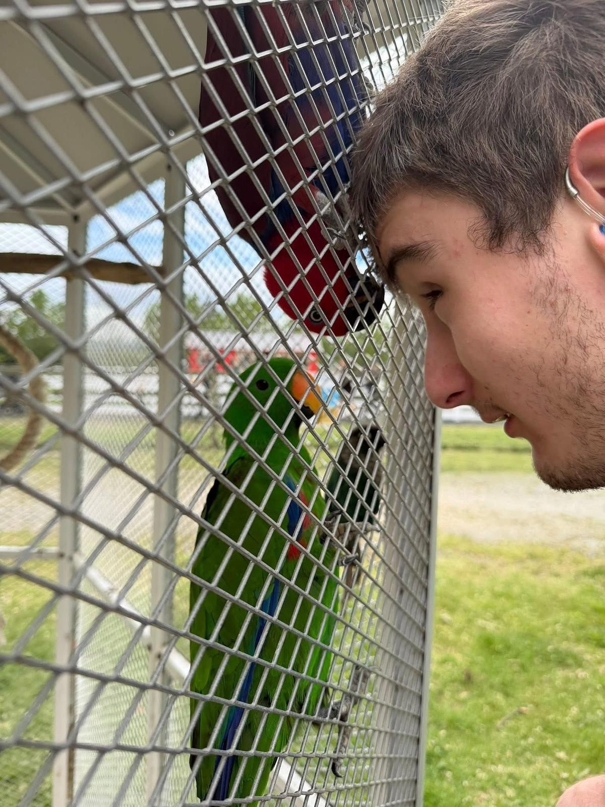 Man helping woman in wheelchair; smiling; indoors, near window.