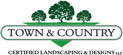 Tree Service in Waterbury, CT | Town & Country Tree Service LLC