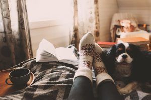 A person is laying on a bed with a dog and reading a book.