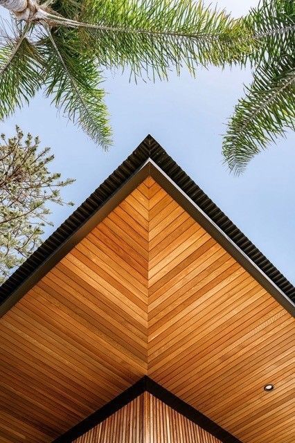 Wooden angled roof with palm trees and blue sky.