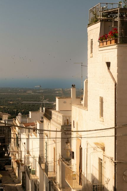 White buildings line a street, with a distant sea and greenery. Some birds fly overhead.
