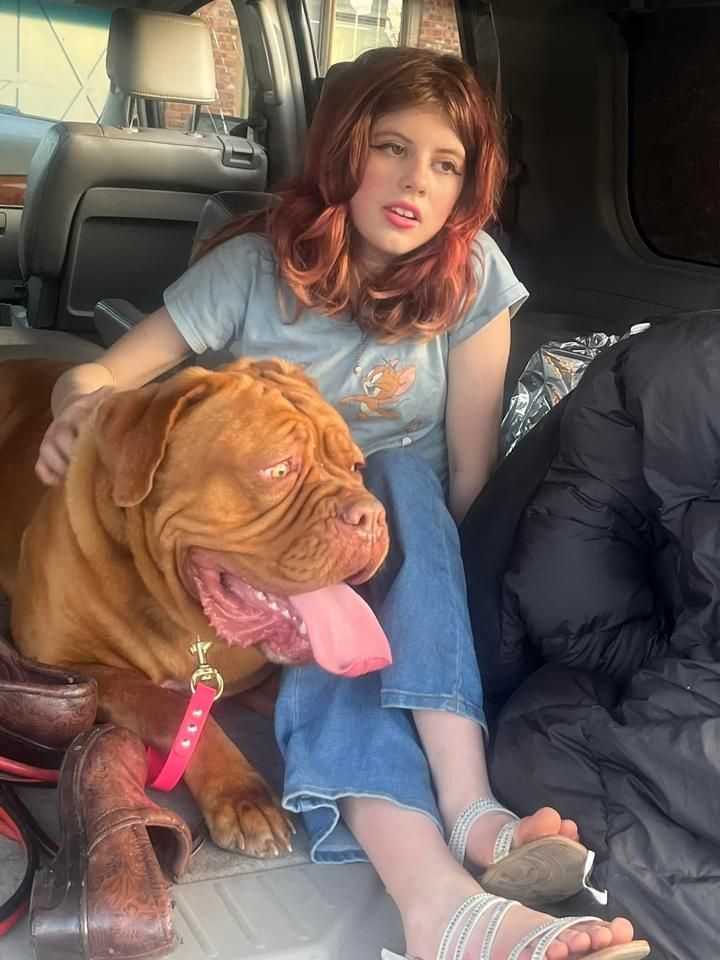 A girl is sitting in the back of a car with a brown dog