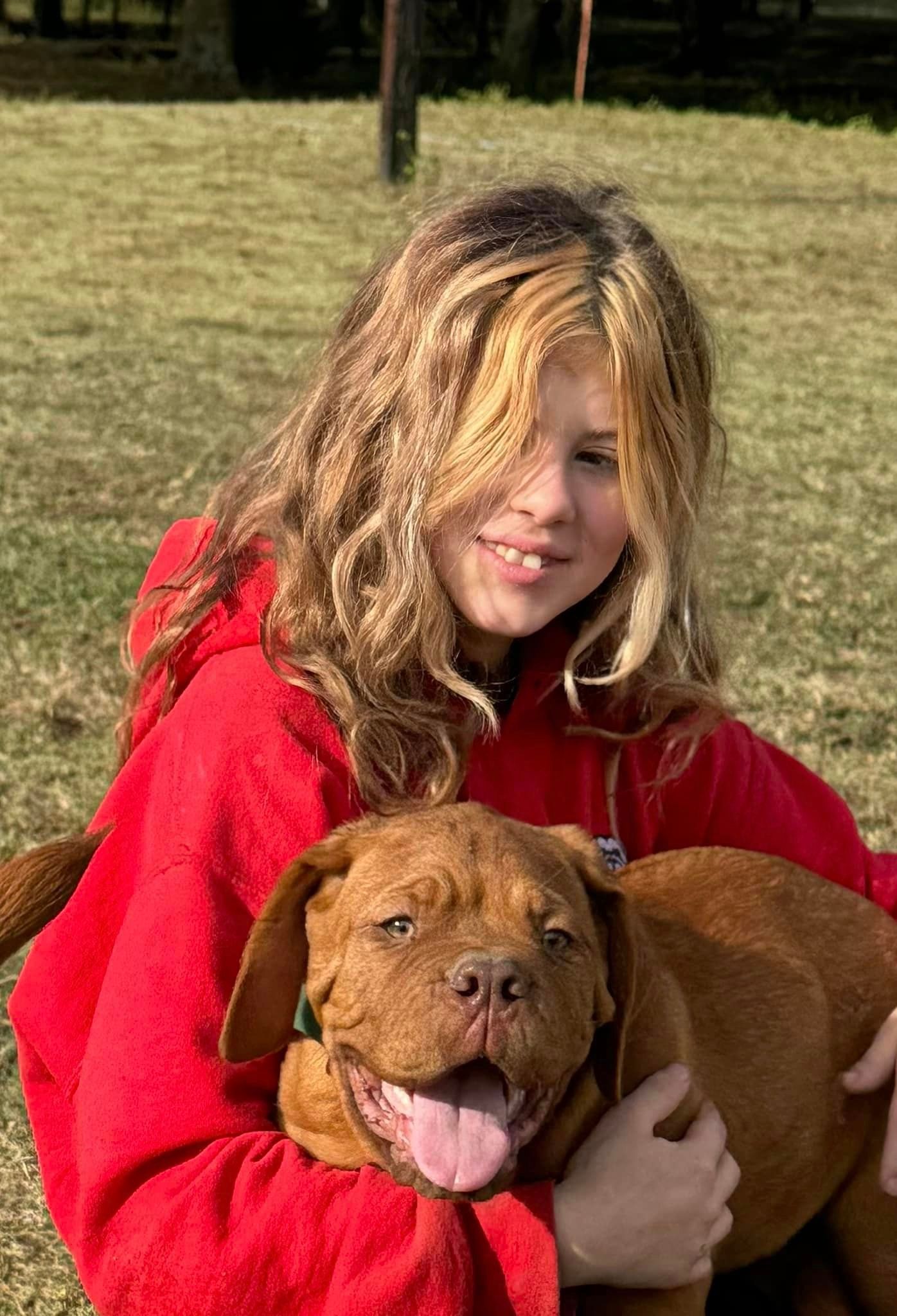 Dogue de Bordeaux Tulsa - French Mastiffs