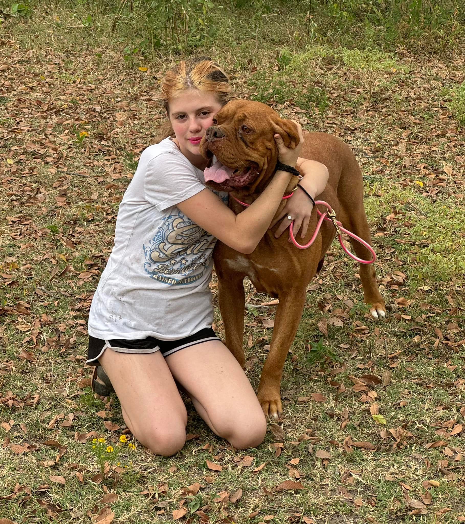 Dogue de Bordeaux Tulsa - French Mastiffs