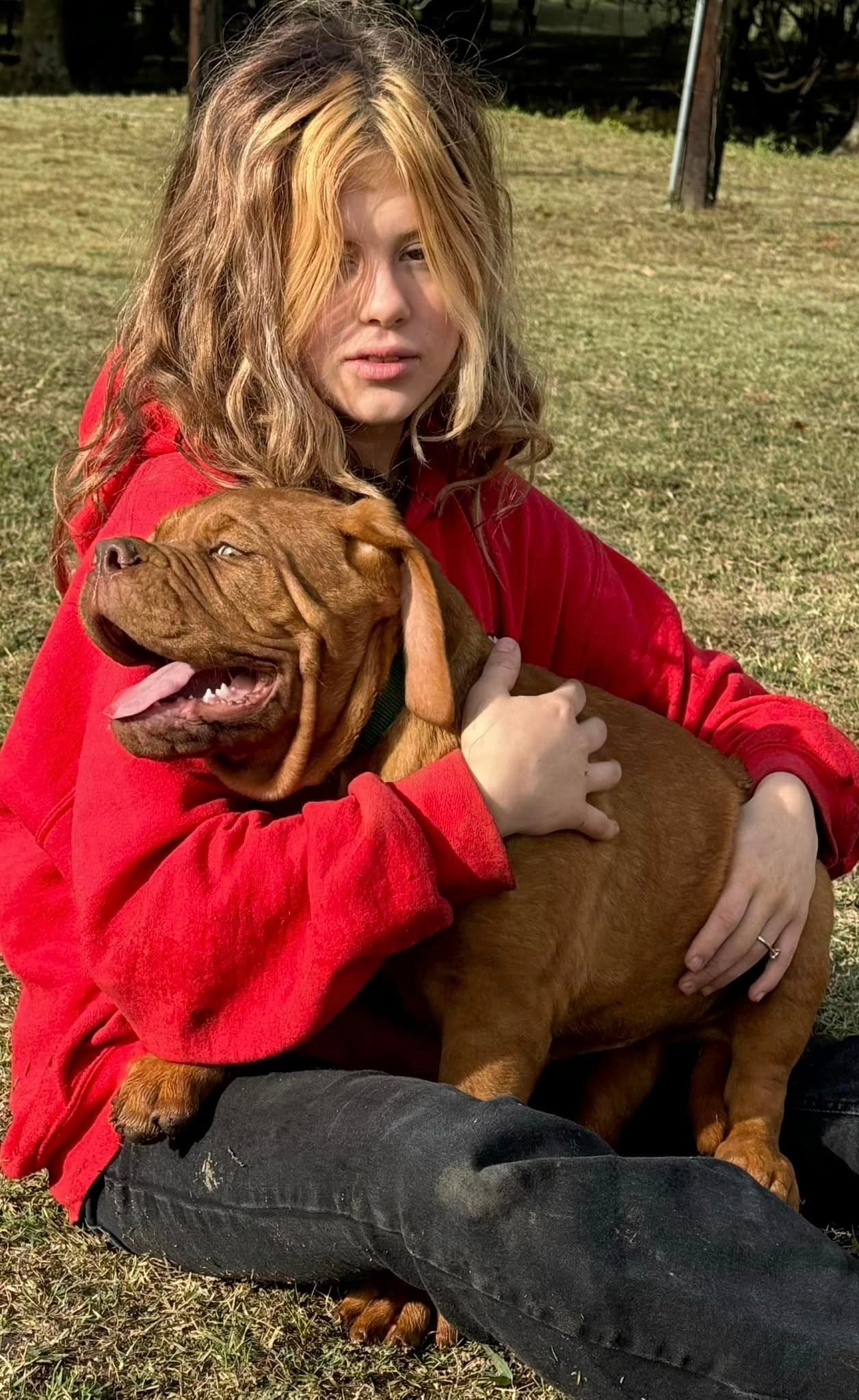 Dogue de Bordeaux Tulsa - French Mastiffs