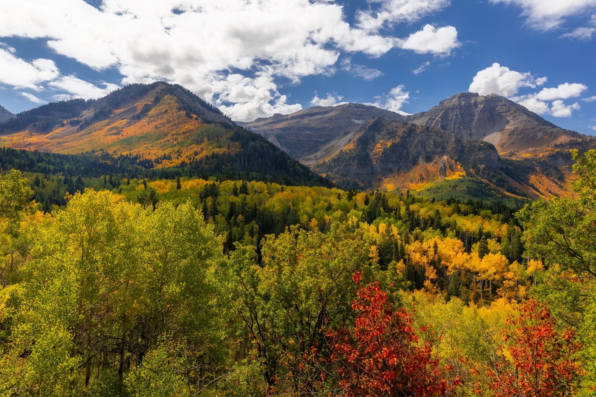 Mountain range above a colorful autumn forest with red, yellow, and green trees under a clear blue sky