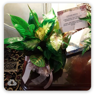 Decorative green potted plant arrangement with a small note card on a table