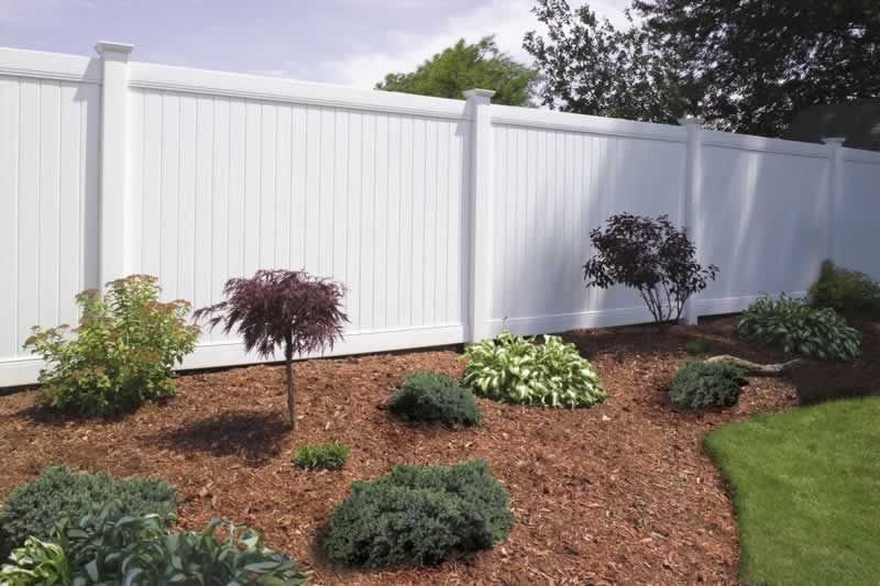 White vinyl fence with landscaping: shrubs and a small tree in mulch border lawn.
