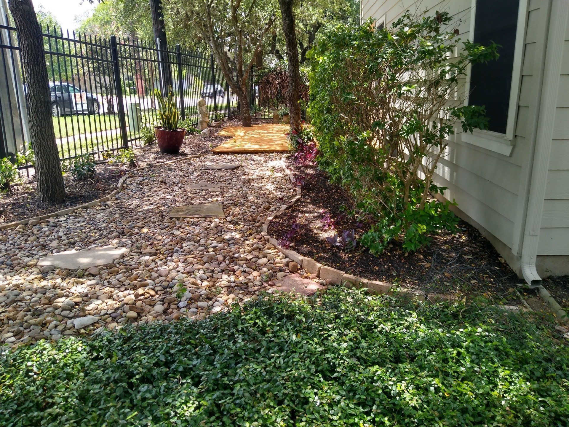 A gravel pathway leads between bushes and a house with a green and brown ground cover.